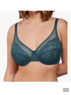 HSIA elegant sheer lace underwire bra